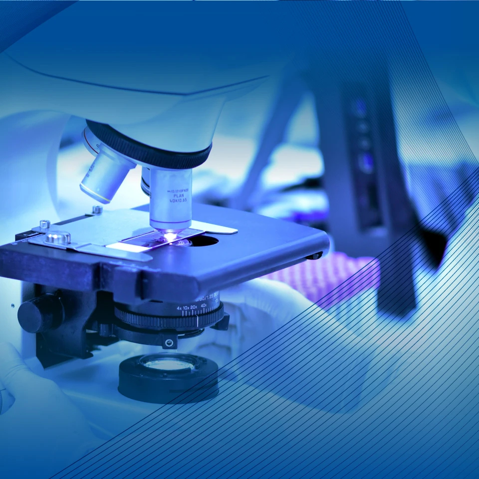 Laboratorio